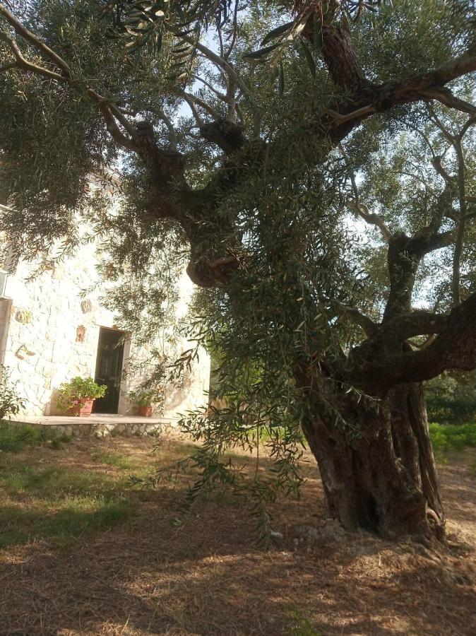 Olive Trees Villa Трагаки Екстериор снимка