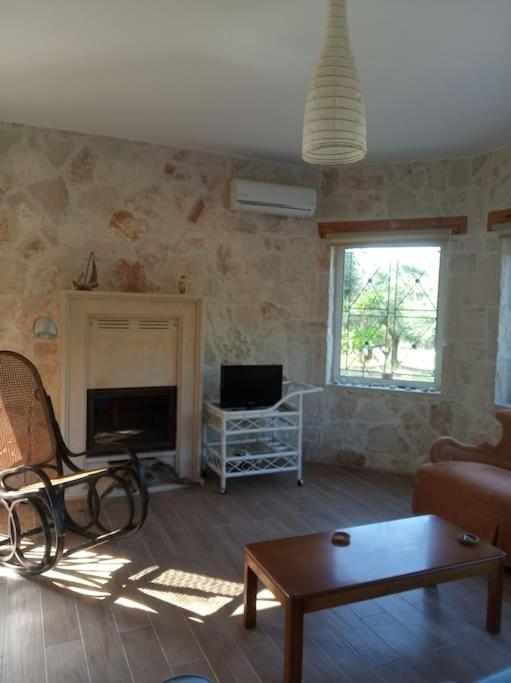 Olive Trees Villa Трагаки Екстериор снимка
